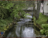 TSR Watermark - 0320